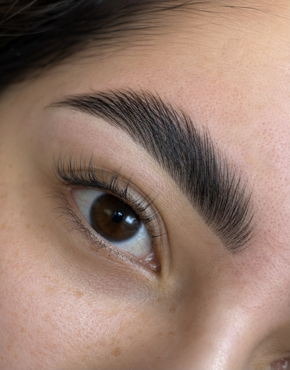 Laminado de cejas